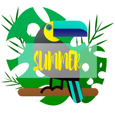 Vector illustration of a bright tropical bird Toucan on a floral backgroundのイラスト素材