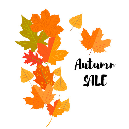 Vector illustration. Set of autumn yellow leaves and inscription Autumn salesのイラスト素材