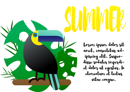 Vector illustration. Design template. Toucan and tropical leaves of monsteraのイラスト素材
