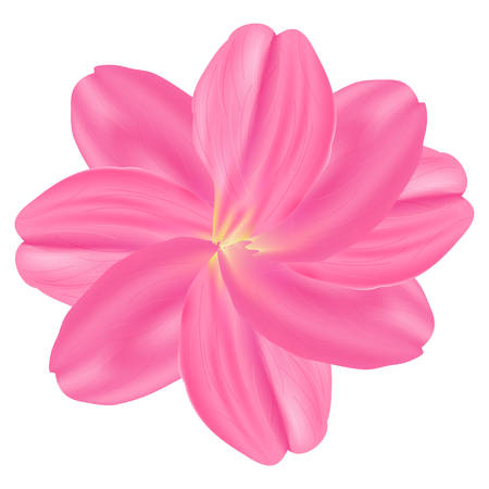 Vector illustration. Set Pink rose petals. White backgroundのイラスト素材