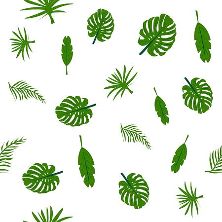 Vector illustration. Seamless pattern. Tropical green leaves isolate on white backgroundのイラスト素材