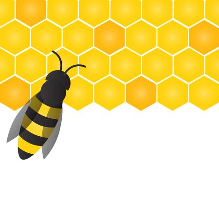 Bees, wasps and honeycombs with honey. Vector apiary and beekeeper templateのイラスト素材