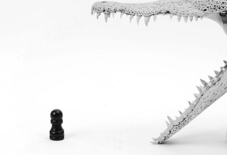 skullの写真素材