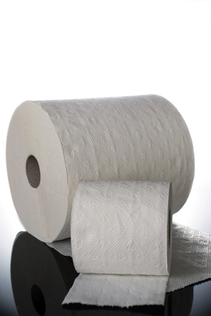 Rolls of white toilet and domestic paper の写真素材