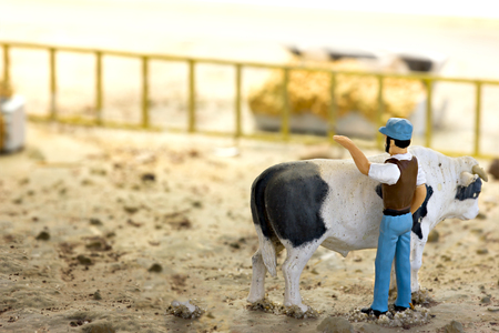 Miniature Farm Animalsの写真素材