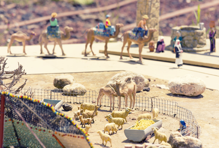 Miniature Farm Animalsの写真素材