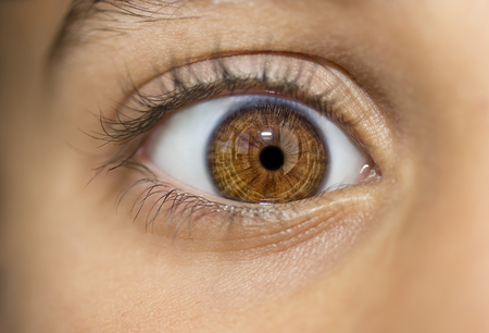 insightful look brown eyesの写真素材