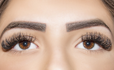 Brown Eye Makeup. Beautiful Eyes Make up detail, eyelash extensionの写真素材
