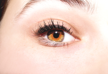 Beautiful insightful look brown eyesの写真素材