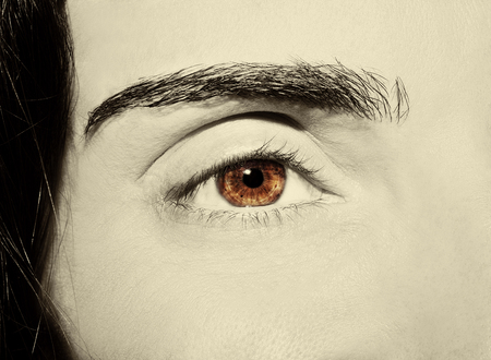 A beautiful insightful look woman's eye. Close up shotの写真素材