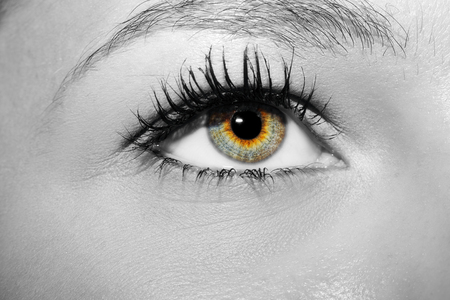 A beautiful insightful look woman's eye. Close up shotの写真素材