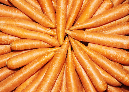 Fresh organic carrots. Background texture of carrotsの写真素材