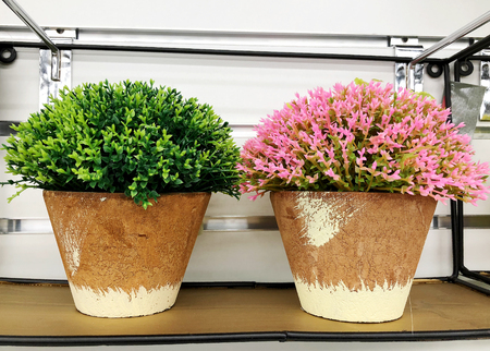 Plastic green flowers in a pot as decor for design. Floristics.の写真素材