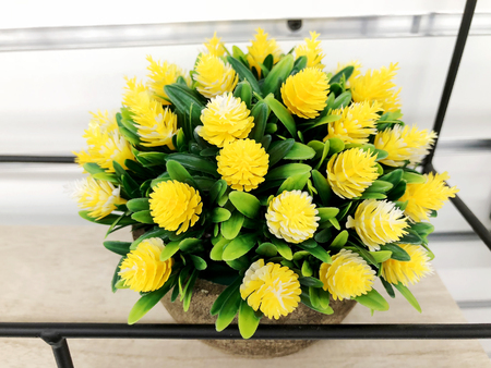 Plastic green flowers in a pot as decor for design. Floristics.の写真素材