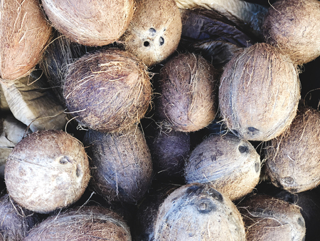 Coconuts for sale on market. Group of small whole fresh brown. Agriculture background. Close-up. Top viewの写真素材