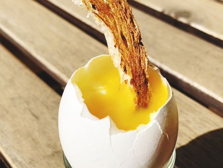 Soft boiled chicken egg with a piece of toast for breakfastの写真素材