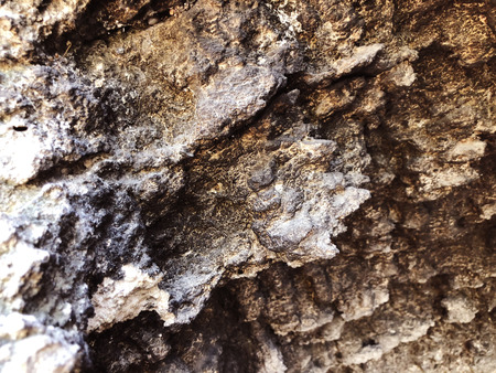 Patterns and textures of rocks in nature