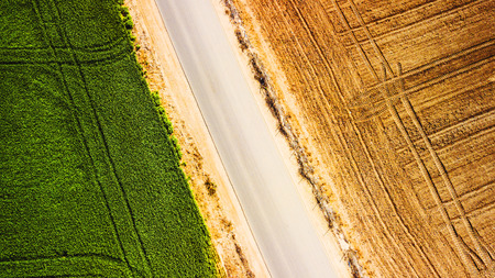Land at rest after harvest waiting to be plowed in Israelの写真素材