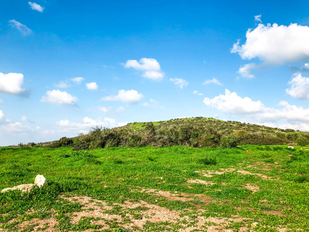 Aerial view of a green landscape in sunny day. Nature background.の写真素材