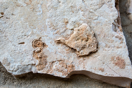 Close up of natural stone wall. Stone wall texture.