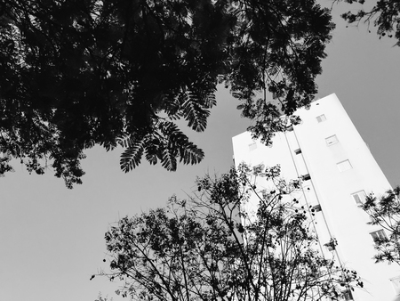 High residential building in Rishon Le Zion, Israelの写真素材