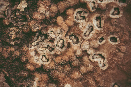 Close up of natural stone wall. Stone wall texture.の写真素材