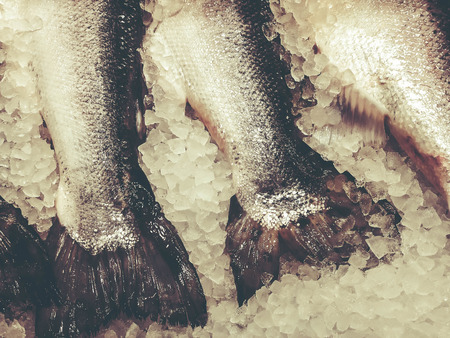 Chilled fish on ice on the counter in the market.の写真素材