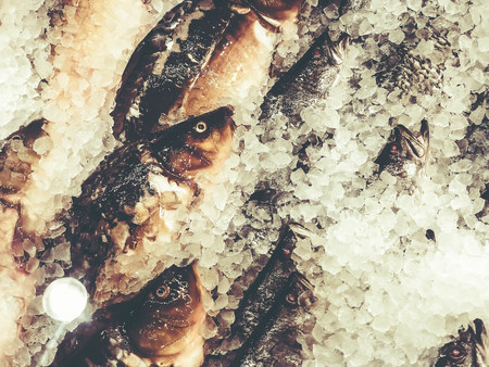 Chilled fish on ice on the counter in the market.の写真素材