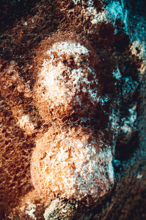 Close up of natural stone wall. Stone wall texture.の写真素材