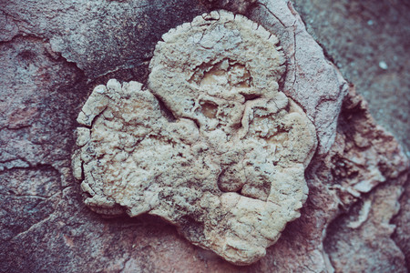 Close up of natural stone wall. Stone wall texture.の写真素材