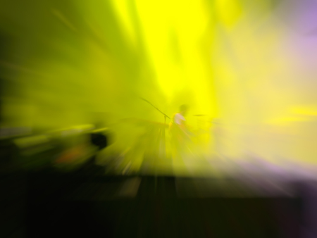 Abstract motion blur effect. Bokeh lighting in concert with audience.