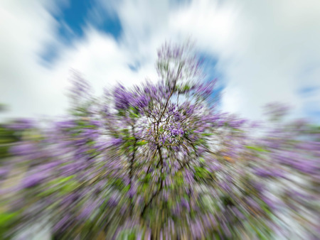 Abstract motion blur effect. City on a sunny day.の写真素材