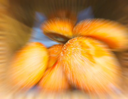 Fresh buns on the counter of the grocery store. Abstract motion blur effectの写真素材