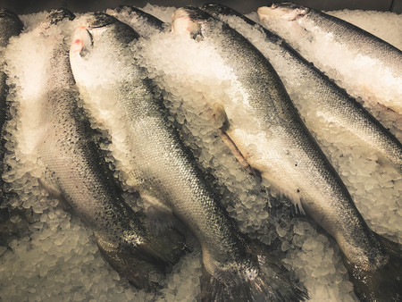 Chilled fish on ice on the counter in the market.