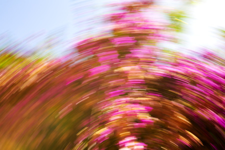 Abstract motion blur effect. Spring blurred flowers.の写真素材