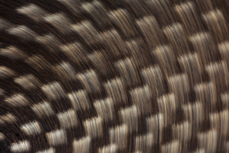 Motion blurred abstract futuristic background or wallpaper