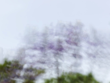 Abstract motion blur effect. Spring blurred flowers