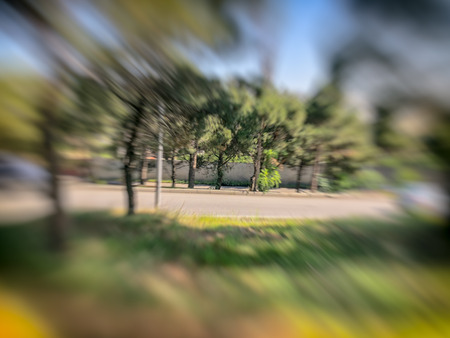 Spring blurred trees. Abstract motion blur effectの写真素材
