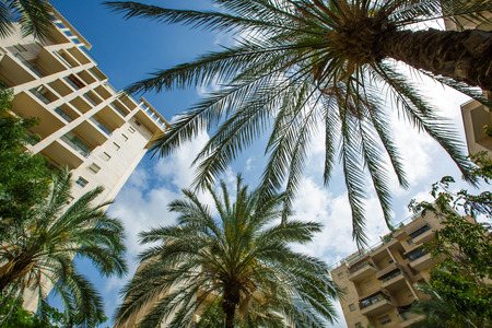 High residential building in Rishon Lezion, Israel