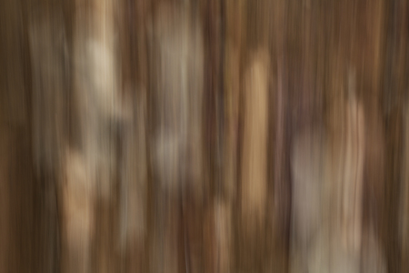 Fallen leaves lying on the ground. Abstract motion blur effect.の写真素材