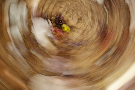 Fallen leaves lying on the ground. Abstract motion blur effect.の写真素材