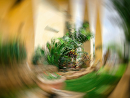 Abstract motion blur effect. City on a sunny day.の写真素材