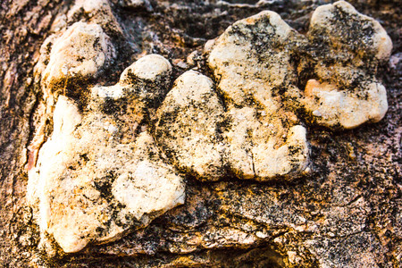 Close up of natural stone wall. Stone wall texture.
