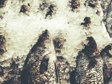Chilled fish on ice on the counter in the market.