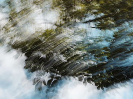 Abstract motion blur effect. Spring blurred tree.の写真素材