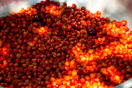 Bones from the cherry. Cherry seeds. Background of bones.