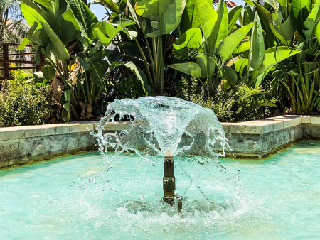 Fountains in city park. Drops of water raising from fountains