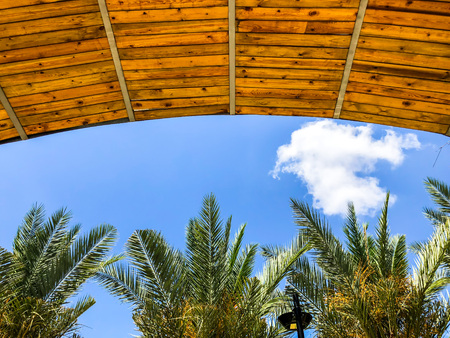 canopy from wooden levels against the sky.の写真素材