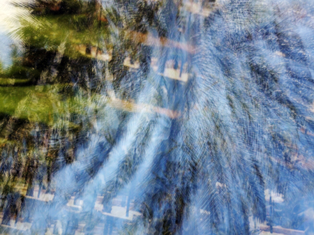 Spring blurred tree. Abstract motion blur effect.の写真素材