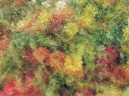 Spring blurred flowers. Abstract motion blur effect.の写真素材